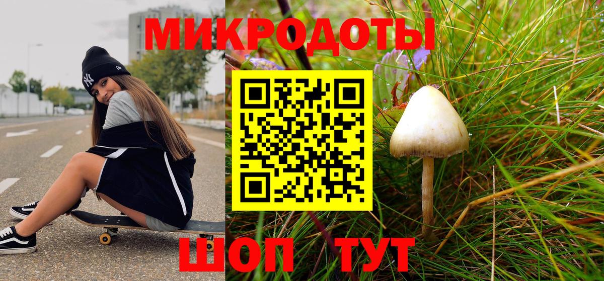 Галлюциногенные грибы Cubensis Качканар